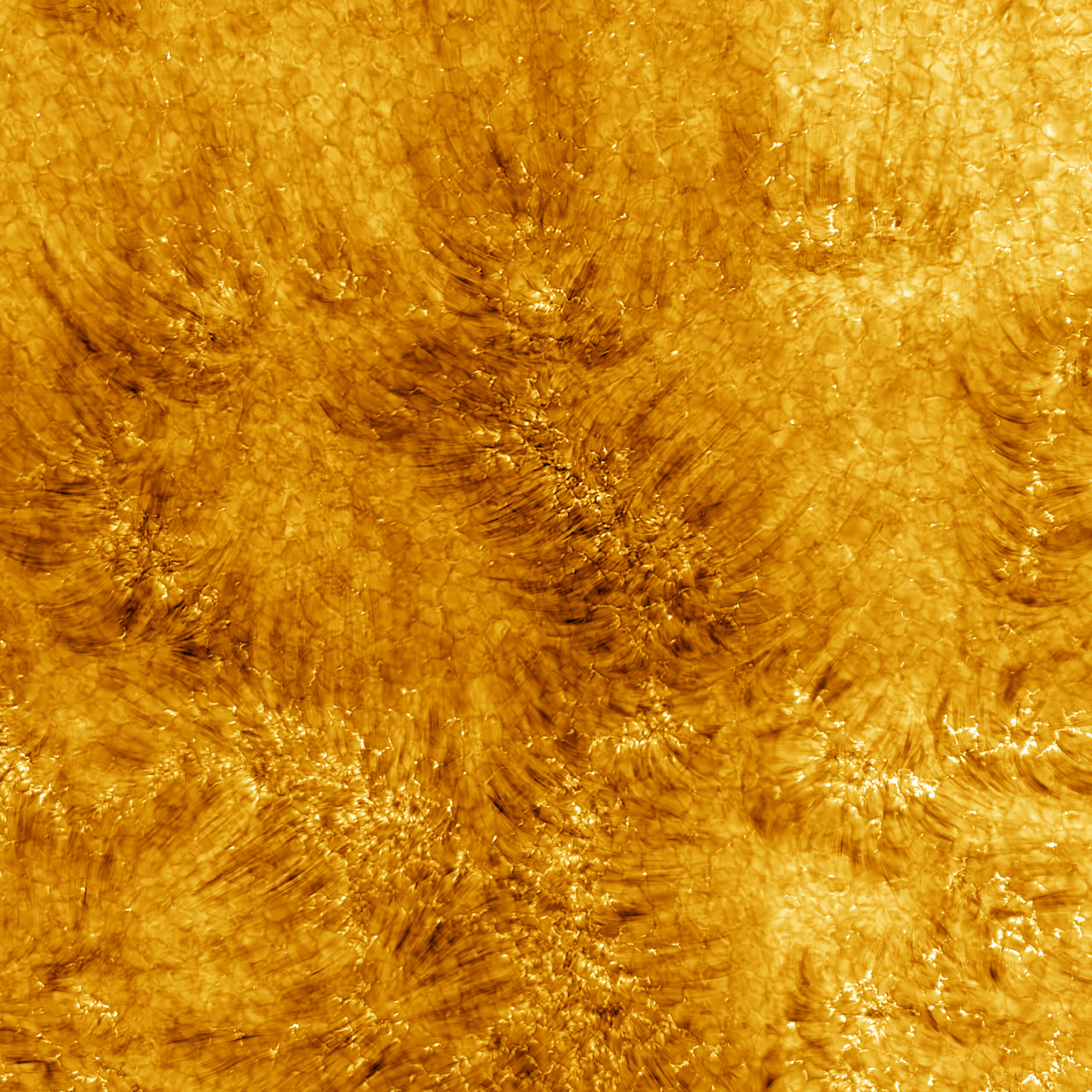 Inouye太阳望远镜图像太阳色球