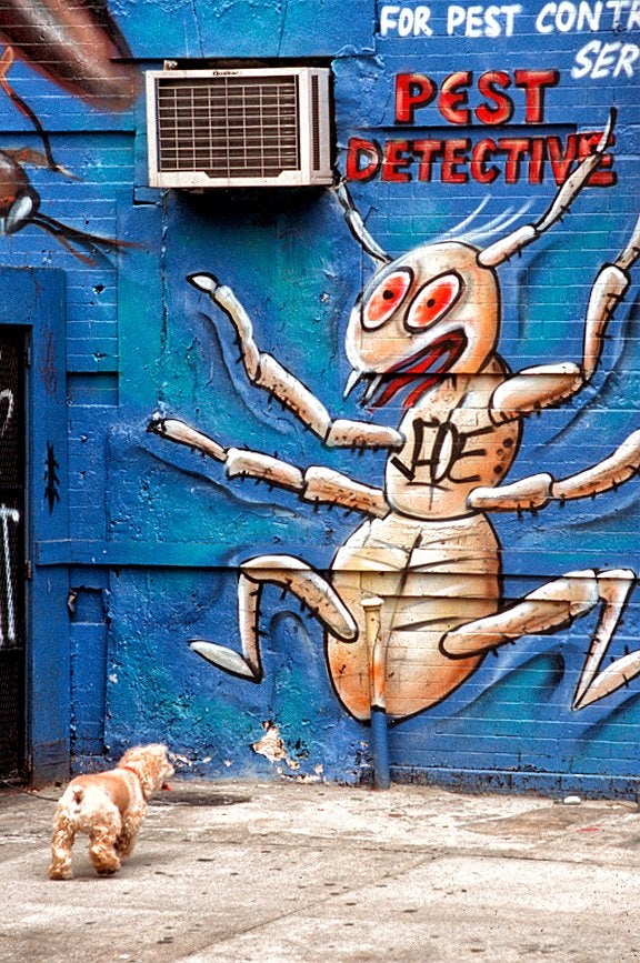 街头涂鸦艺术巨虫