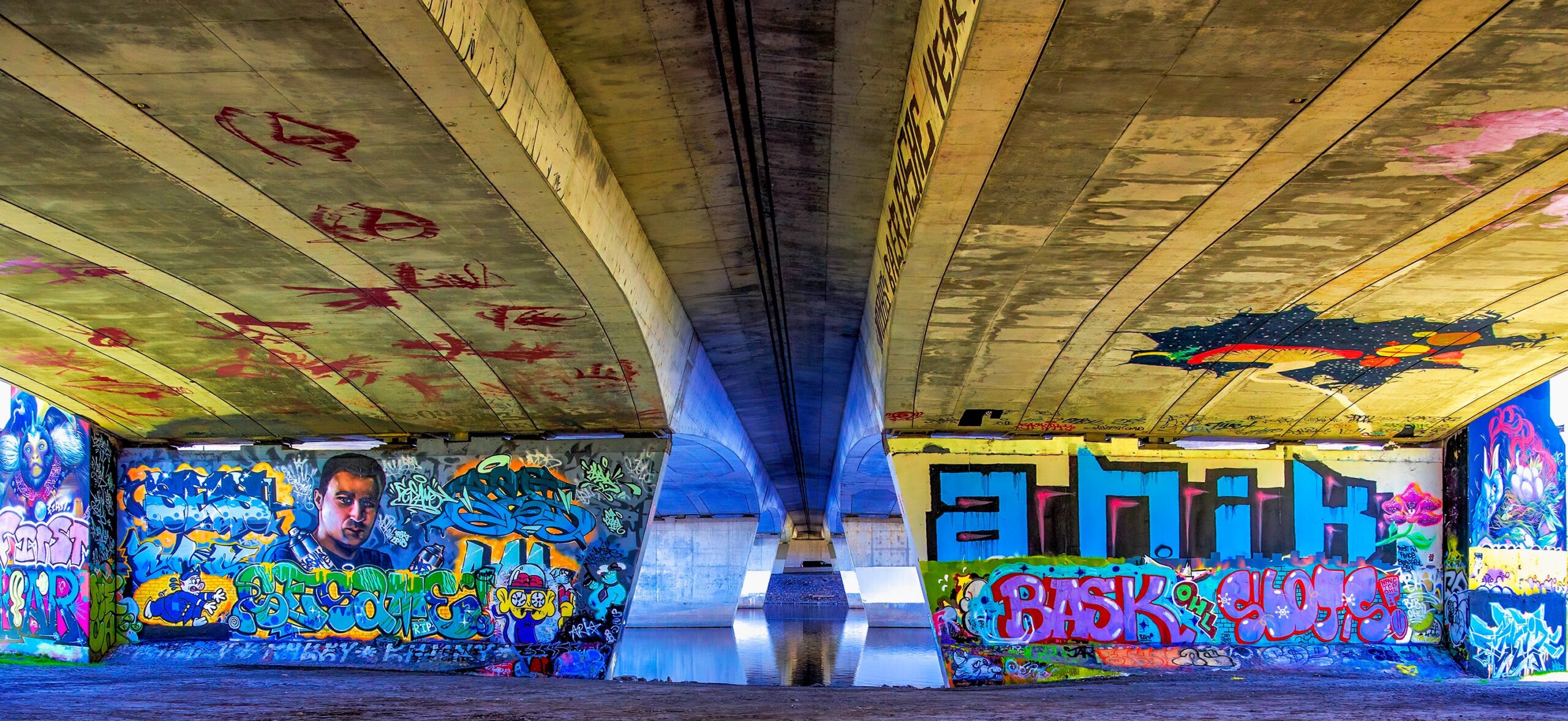 加拿大渥太华里多河布朗森街桥涂鸦街头艺术